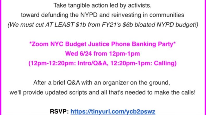 Invite to Zoom Call for Budget Justice