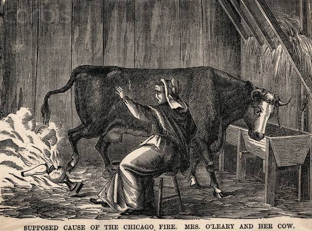 Original caption: Illustration of Chicago Fire: How it started. Mrs. O'Leary's cow upset an oil lamp.  Undated illustration.  BPA2#5175. --- Image by © Bettmann/CORBIS